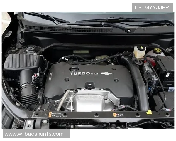 乌德青与海尔蒙激战正酣谁能在这场对决中笑到最后